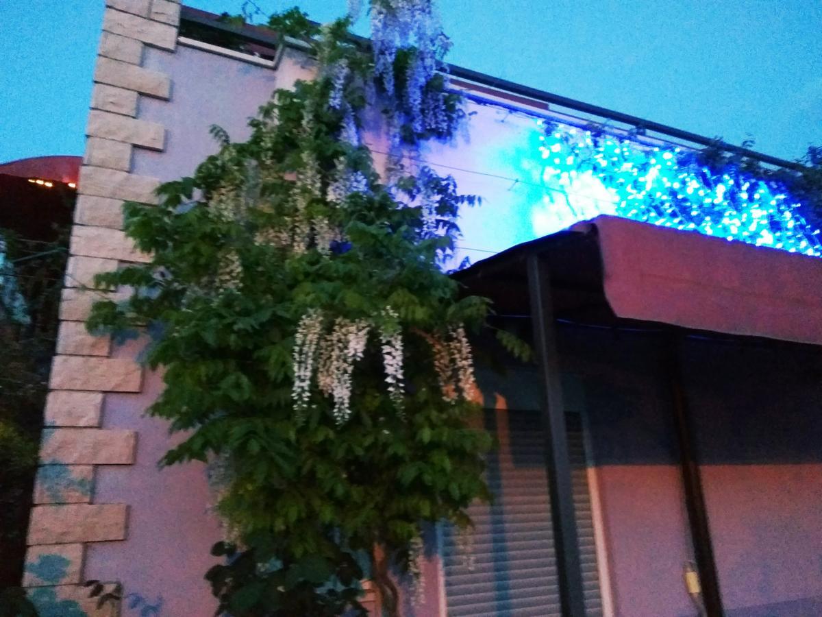פיישצ'נה אובלה Aparthotel Viola מראה חיצוני תמונה